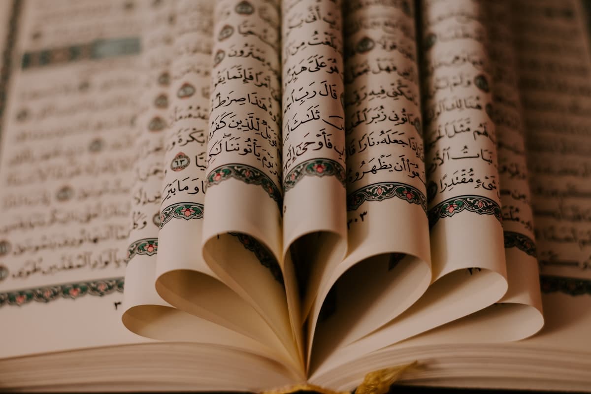 Essential Tajweed Rules Every Muslim Beginner Should Master